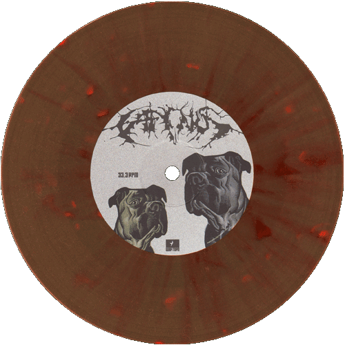 Cattle Decapitation / Caninus - Split EP